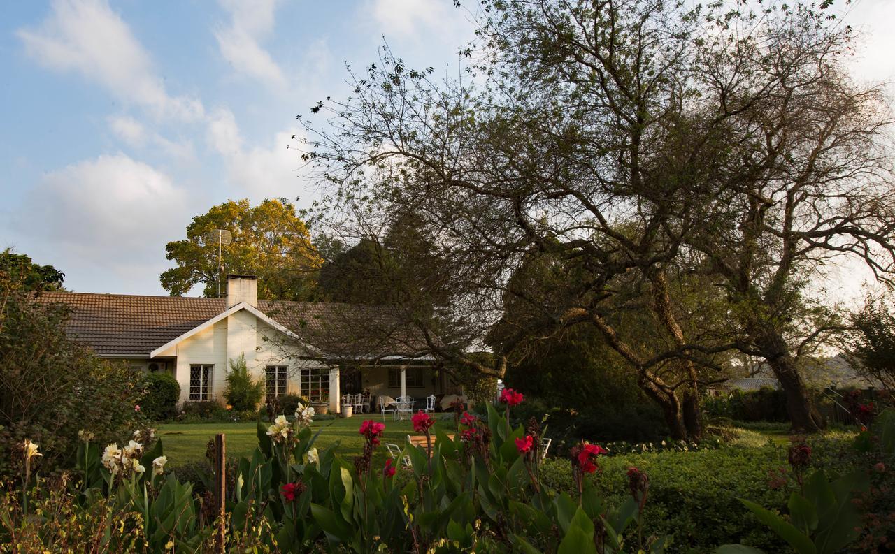 Amber Avenue Guesthouse Howick Luaran gambar