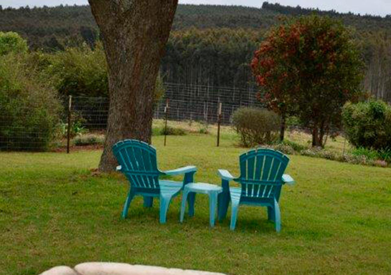 Amber Avenue Guesthouse Howick Luaran gambar